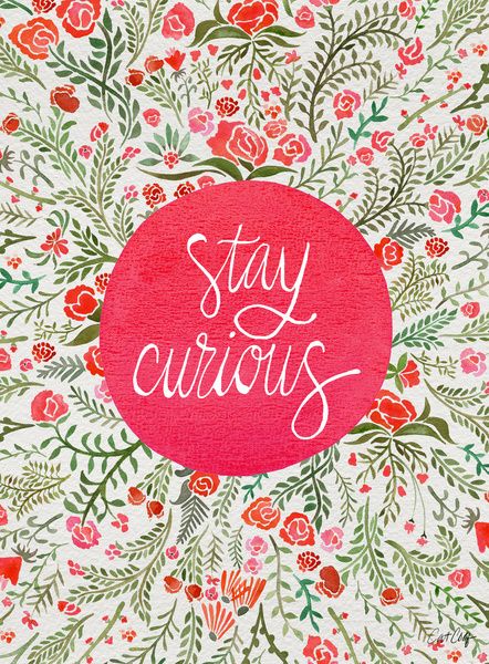 StayCurious