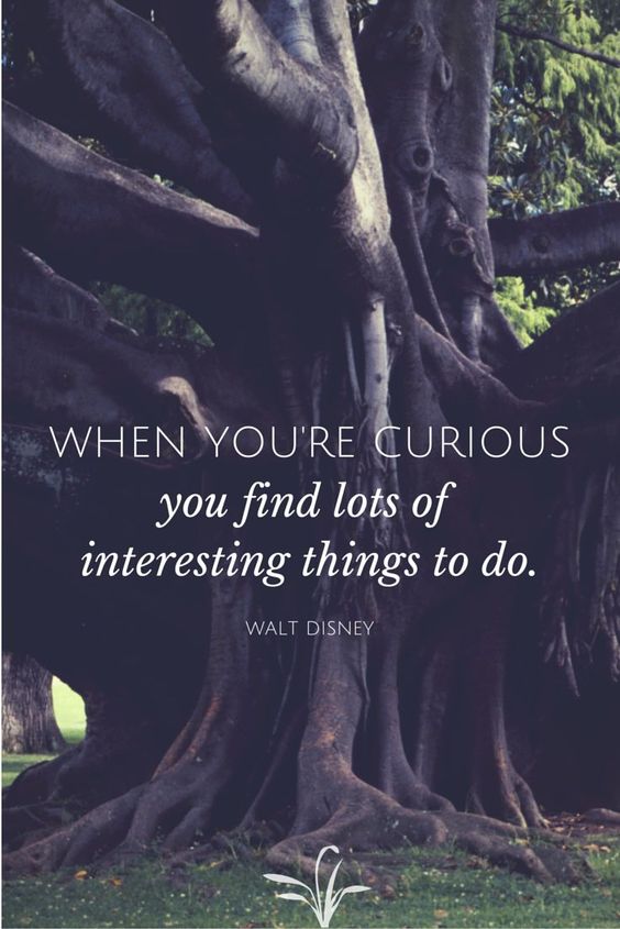 Curious Quote_5