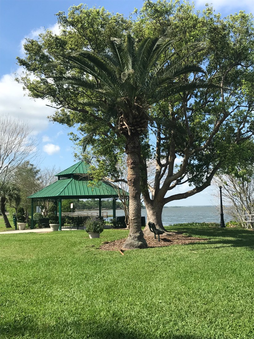 Photo Mar 01, 11 04 10 AM